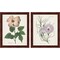 Antique Botanical Cream by Wild Apple Portfolio, 2 Piece Brown Framed Art Set